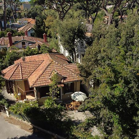 Exclusive Charming Villa - Free Parking 400 Mq Garden - Rome Airport - Roseto Villa Dream Fregenae Dış mekan fotoğraf