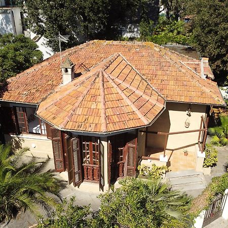 Exclusive Charming Villa - Free Parking 400 Mq Garden - Rome Airport - Roseto Villa Dream Fregenae Dış mekan fotoğraf